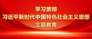 大陆美女日逼视频学习贯彻习近平新时代中国特色社会主义思想主题教育_fororder_ad-371X160(2)